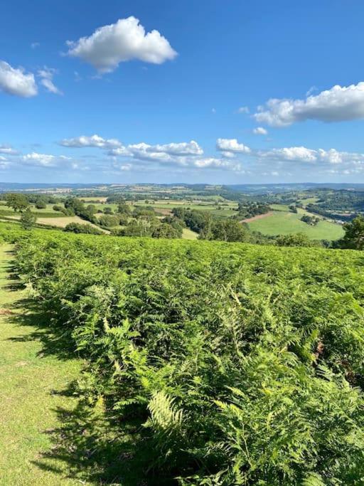 The Cider House Holiday Cottage Welsh Newton Common Ngoại thất bức ảnh